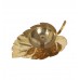 Lotus Brass Dia 